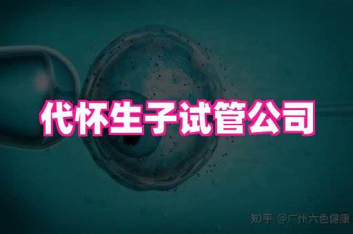 nub孕网 2